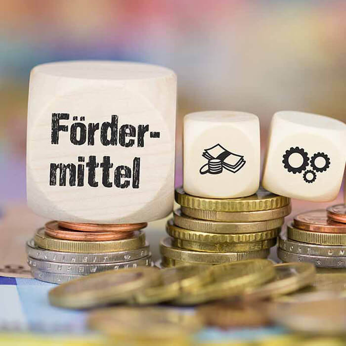 fördermittel sind oft nicht leicht zu beatntragen. die soma austria hilft.